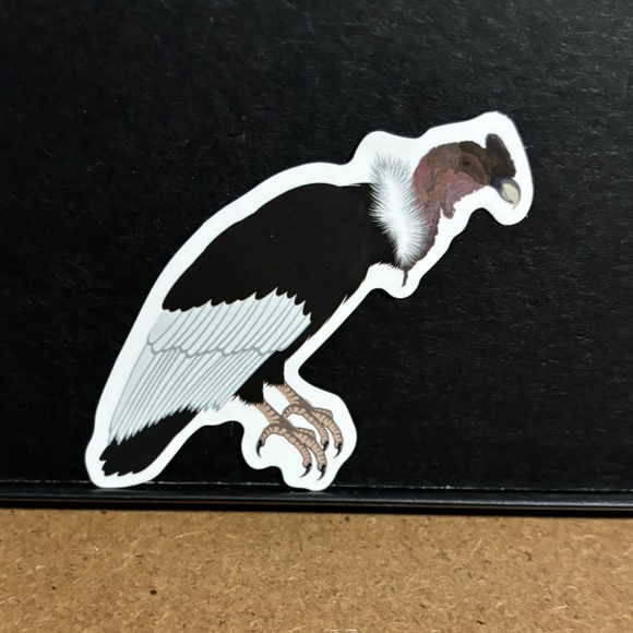 VULTURE BIRD STICKER - Picture 1 of 1